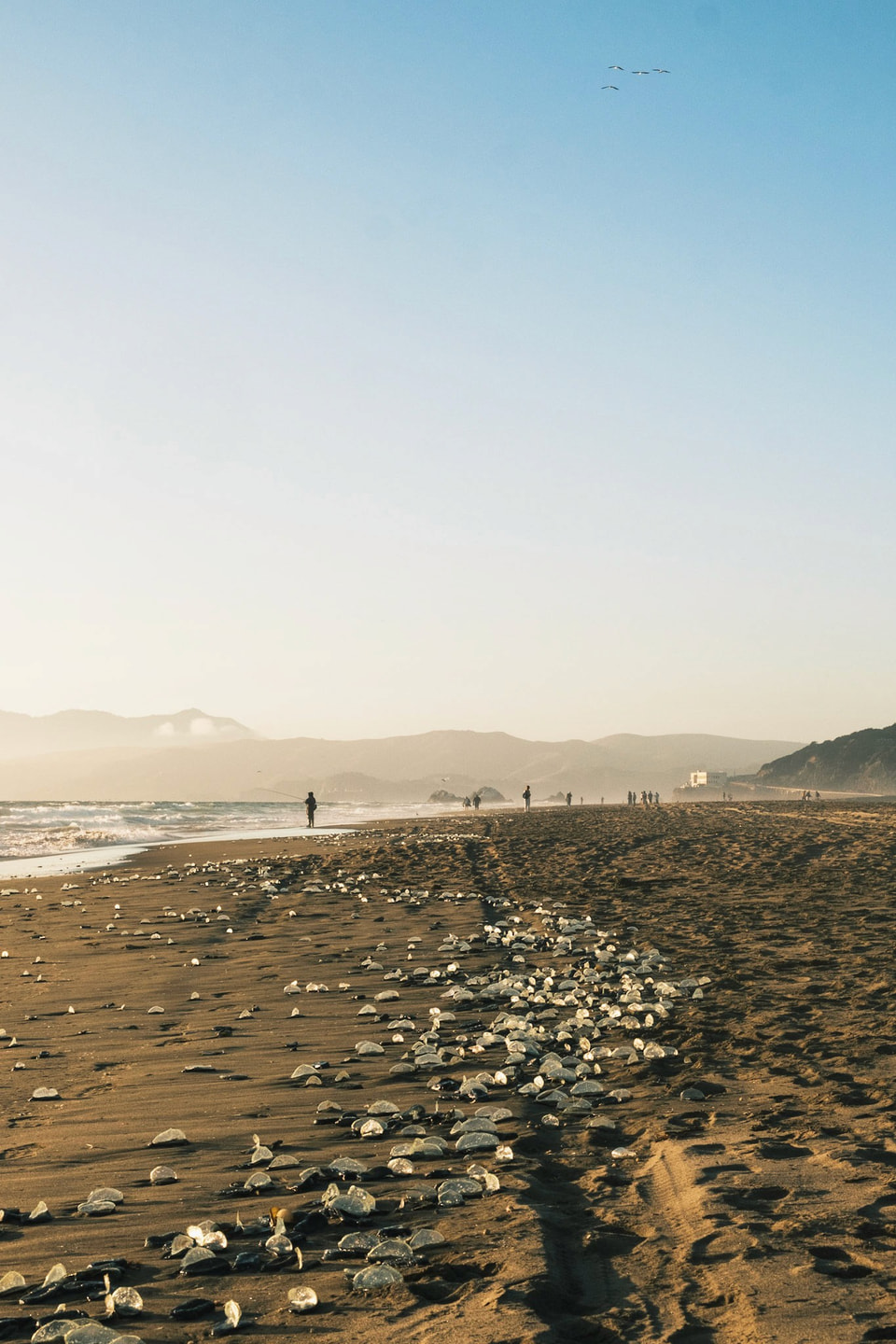 Beachscapes, photograph 23