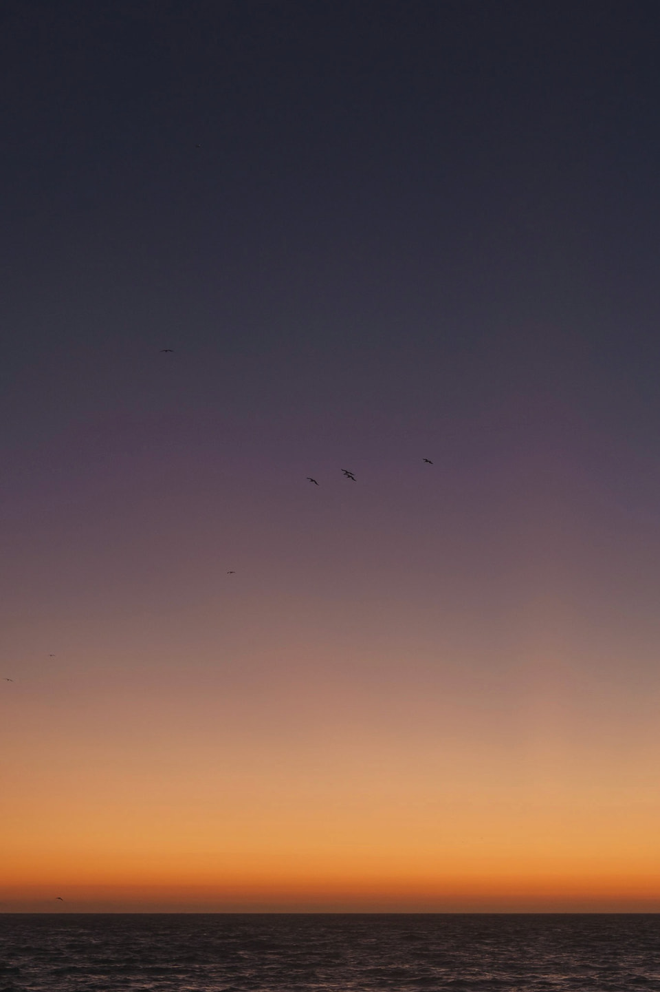 Beachscapes, photograph 27