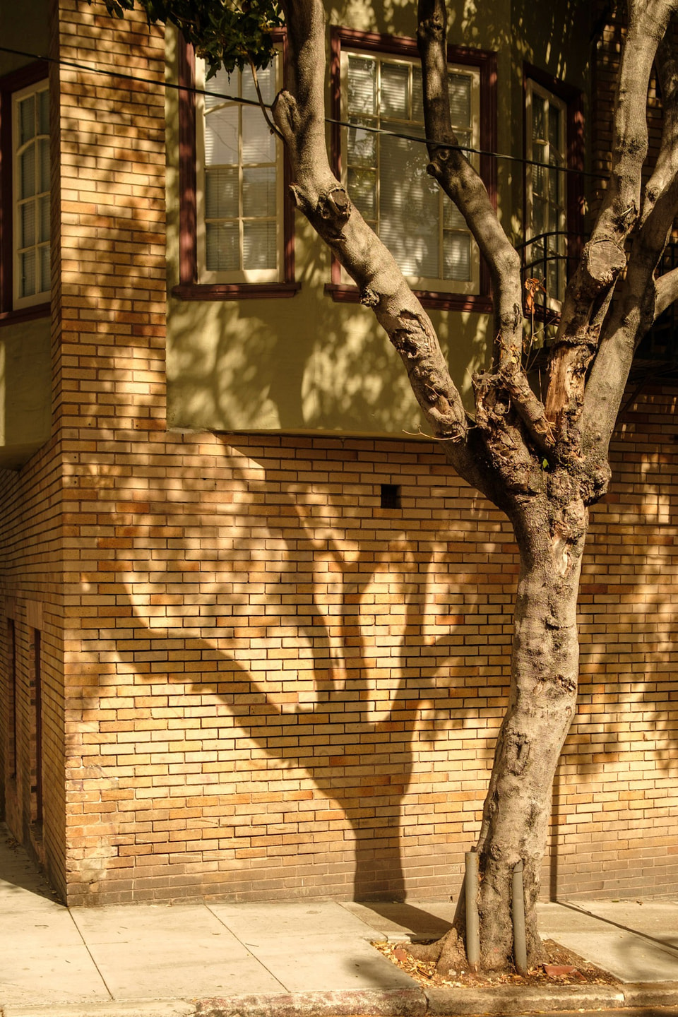 Light / Shadow, photograph 3