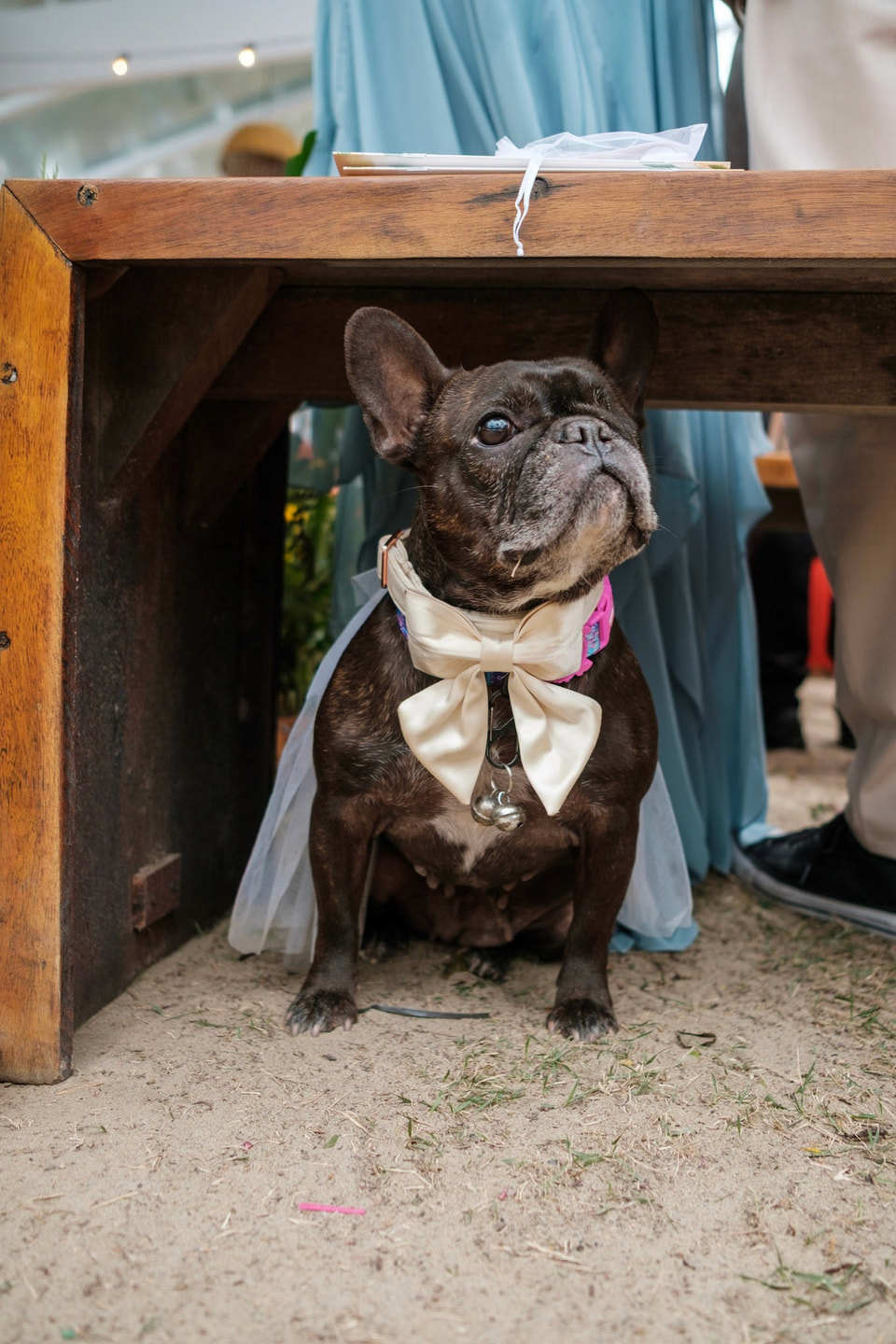 Engagements and Elopements, photograph 2