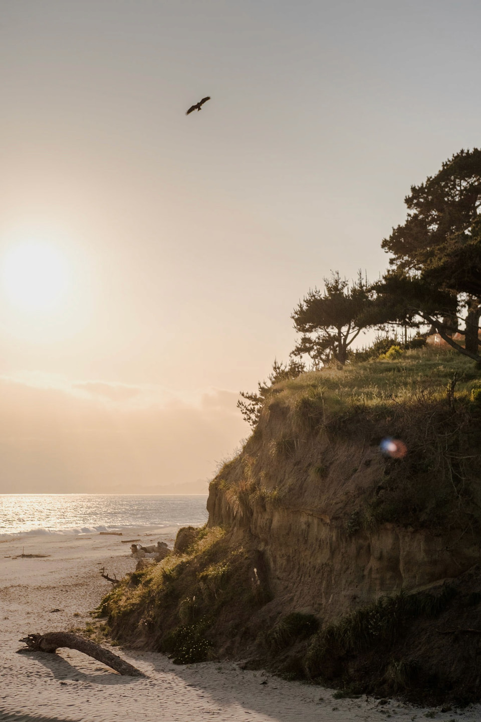 Beachscapes, photograph 19