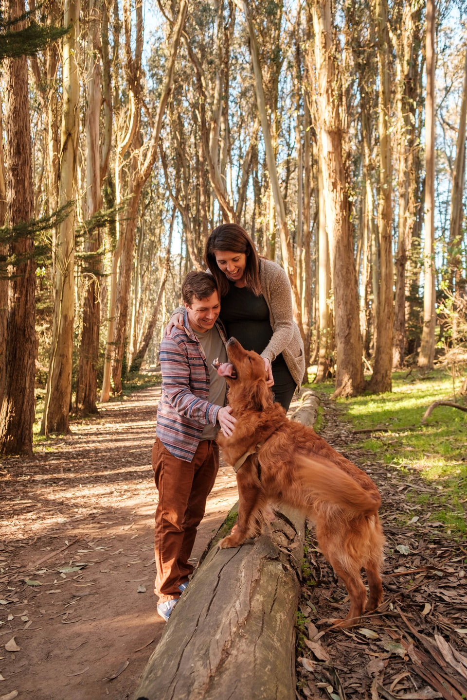 Family, photograph 11