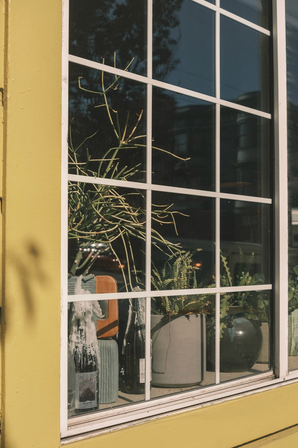 Windows, photograph 3