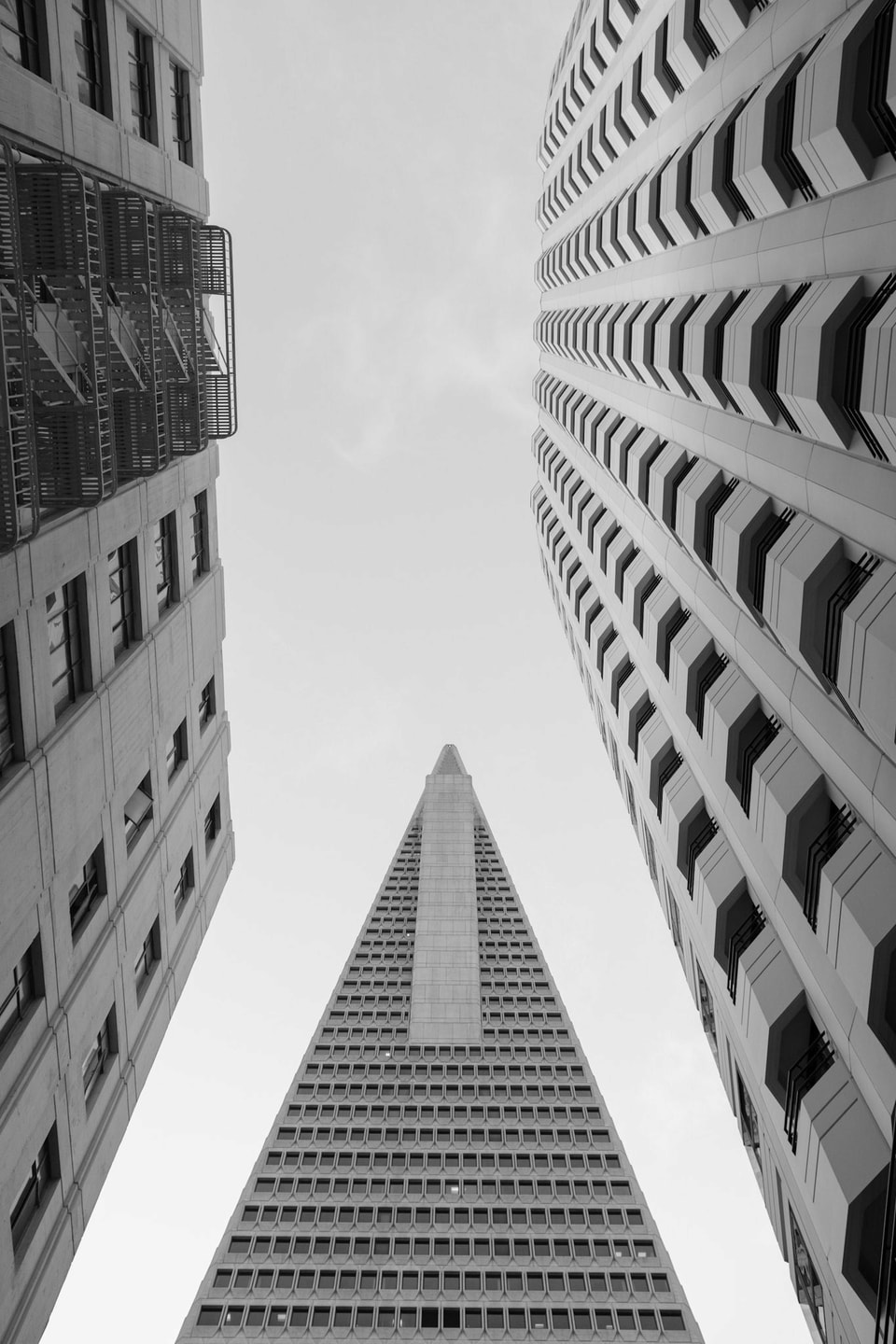 Urban Escape, photograph 17