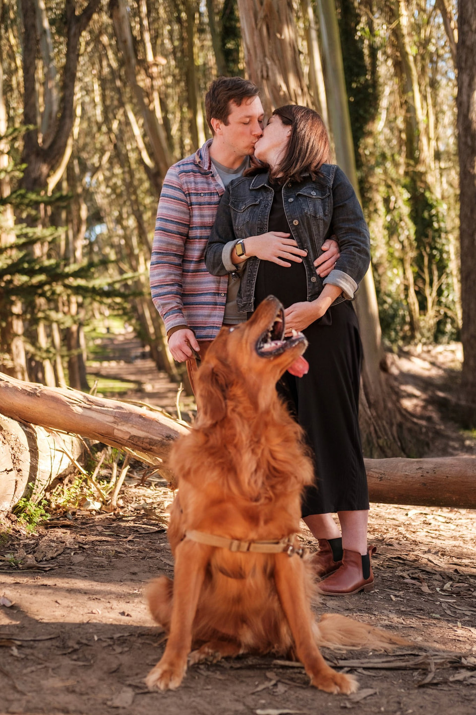 Maternity, photograph 10