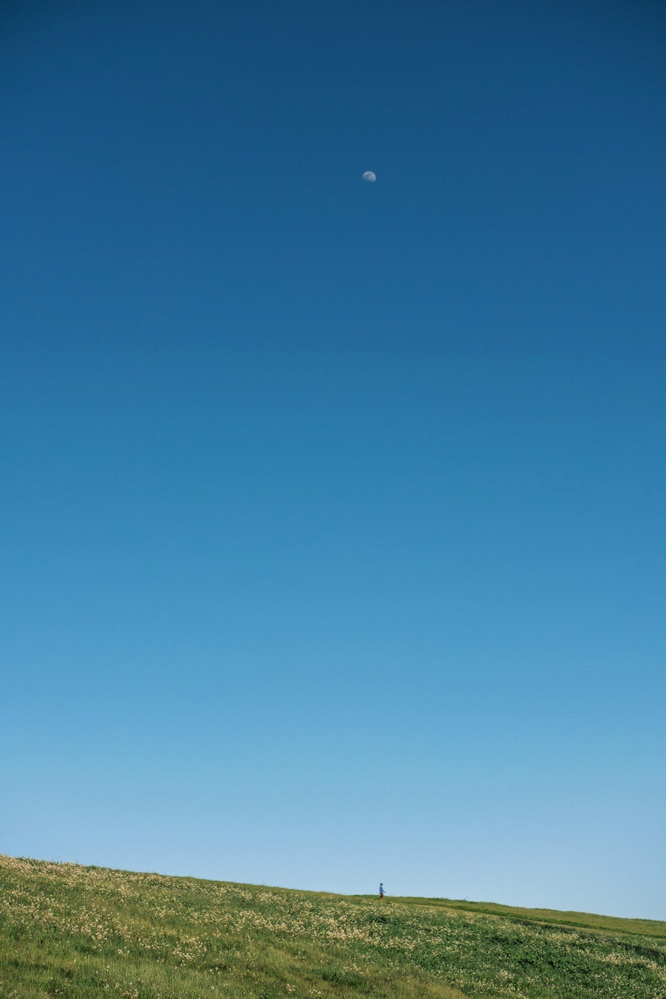 Stillness, photograph 6
